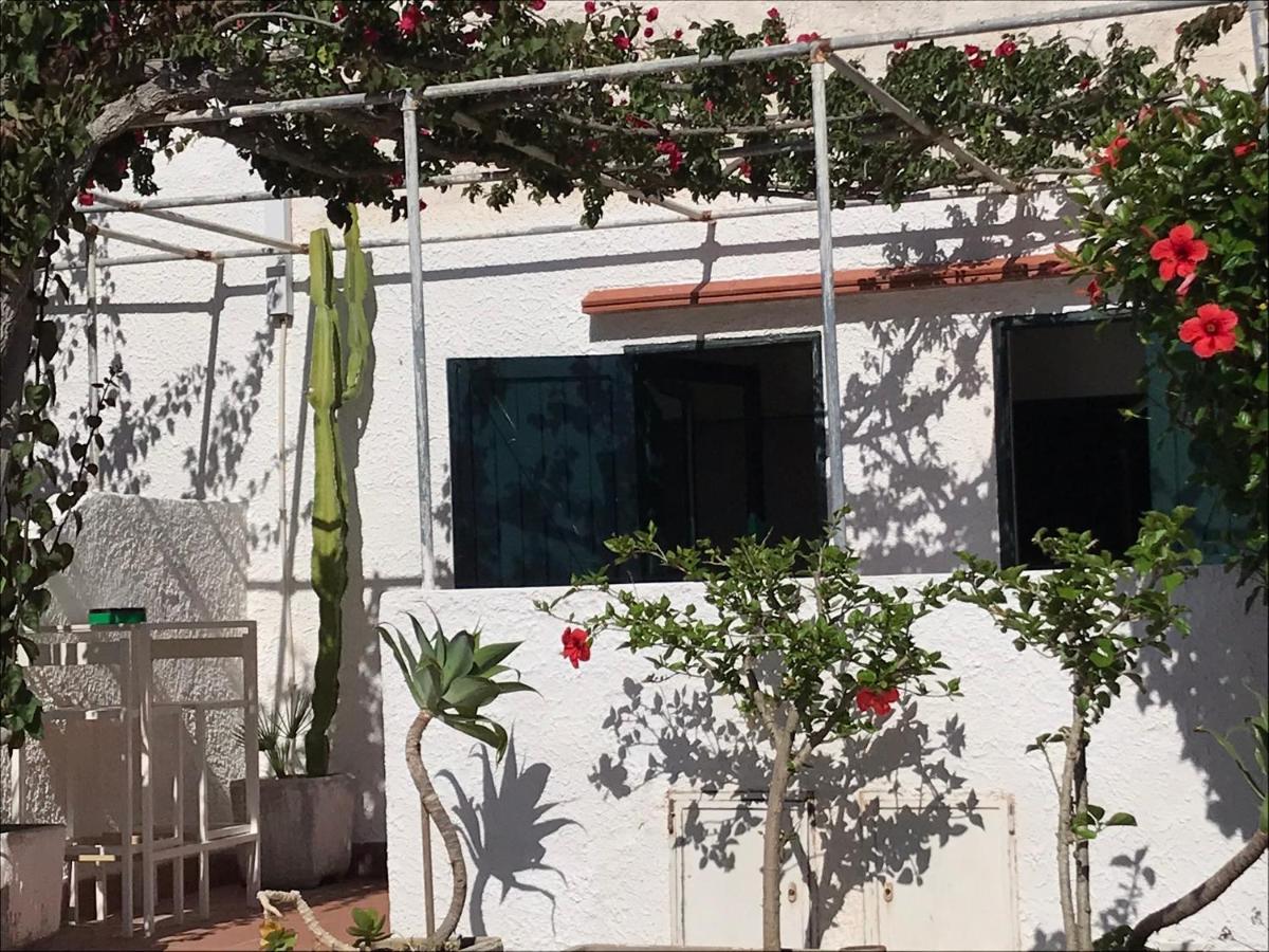 Casa Mamma Bruna San Vito Lo Capo Eksteriør billede